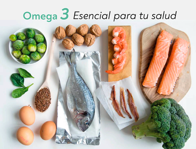 Fuentes Alimentarias Ricas en Omega-3 ‍para Mejorar los Niveles de Colesterol