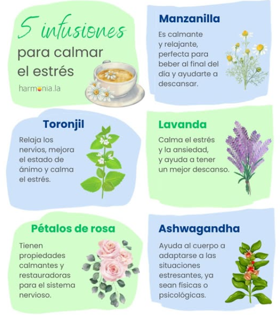 diferentes Tés e Infusiones​ relajantes para aliviar ⁣el​ estrés y la ⁣ansiedad