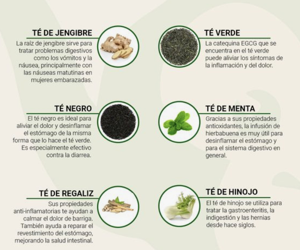 Tés‌ que favorecen⁢ la digestión: beneficios⁢ y variedades